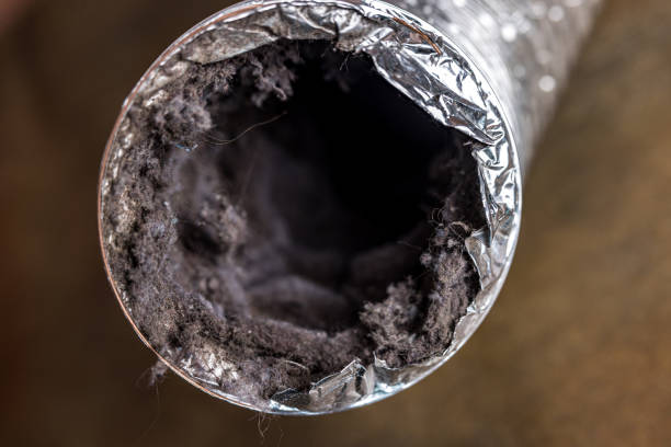 Best Best Air Duct Cleaning Company  in High Springs, FL